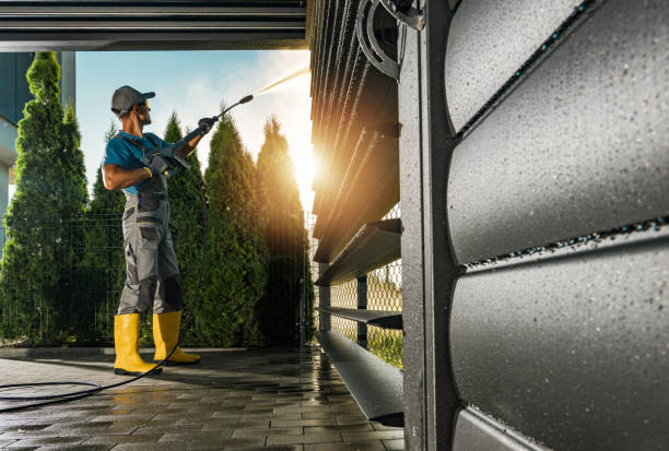 Best Roof Pressure Washing  in Ozark, AL