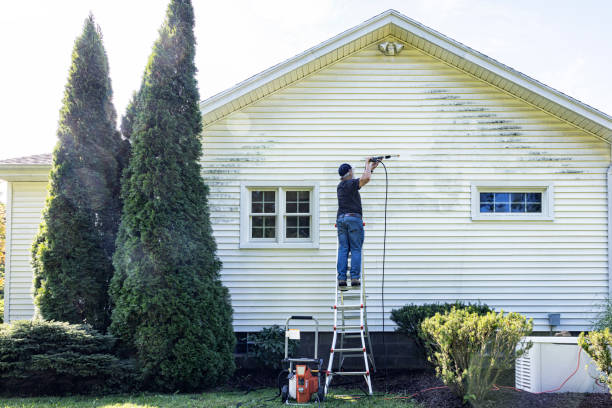 Best Concrete Pressure Washing  in Ozark, AL