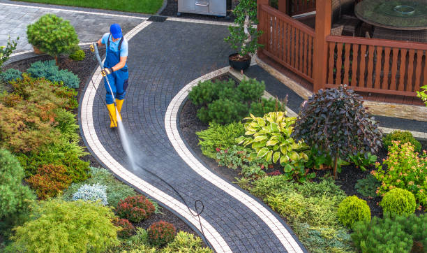 Best Pressure Washing Siding  in Ozark, AL