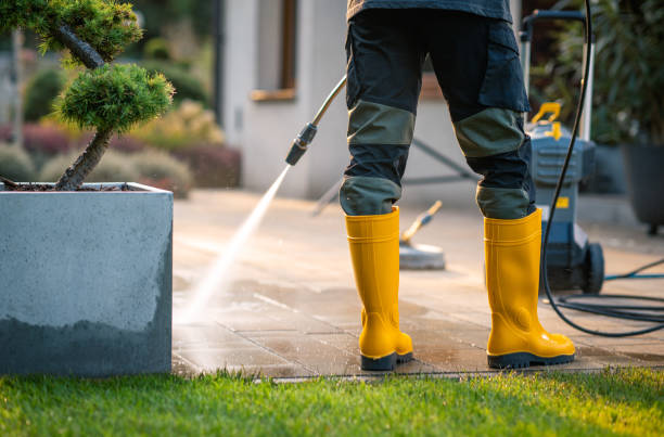 Best Local Pressure Washing Services  in Ozark, AL